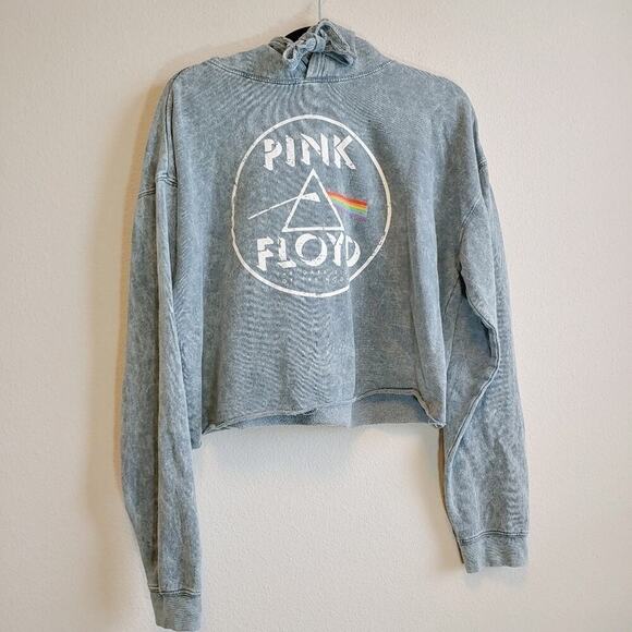 Pink Floyd The Dark Side of the Moon Cropped Hoodie Sweatshirt Sz L - Picture 1 of 11